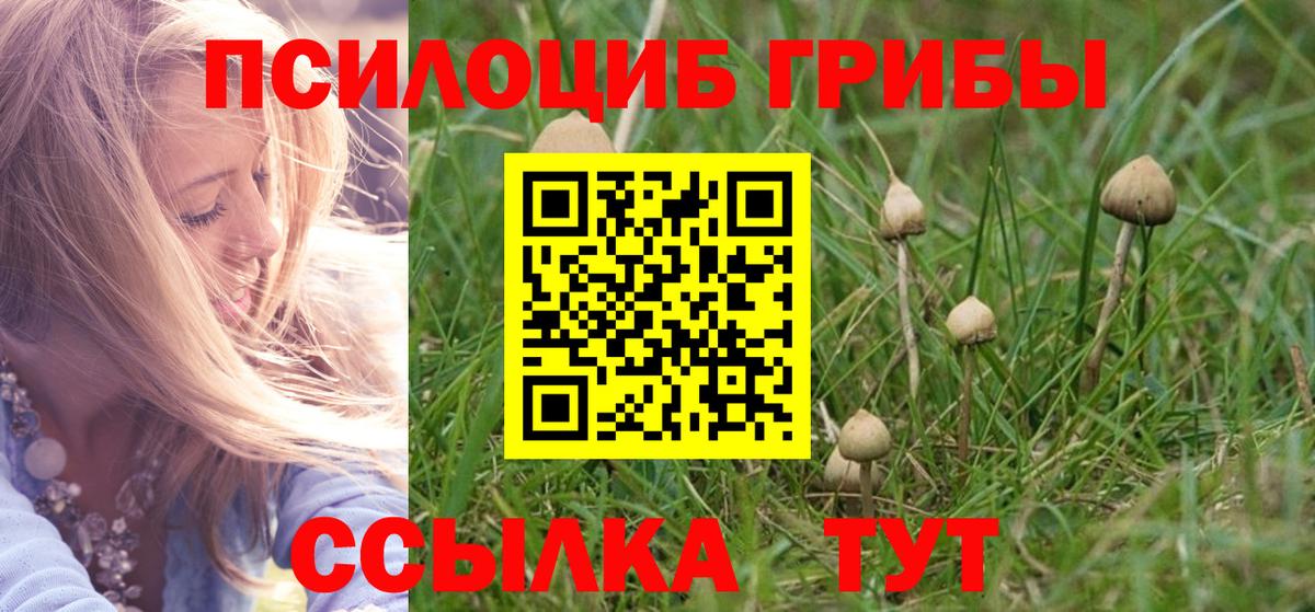 Псилоцибиновые грибы мухоморы  Вход с VPN  Заречный 