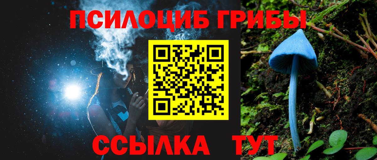 Псилоцибиновые грибы ЛСД Заречный